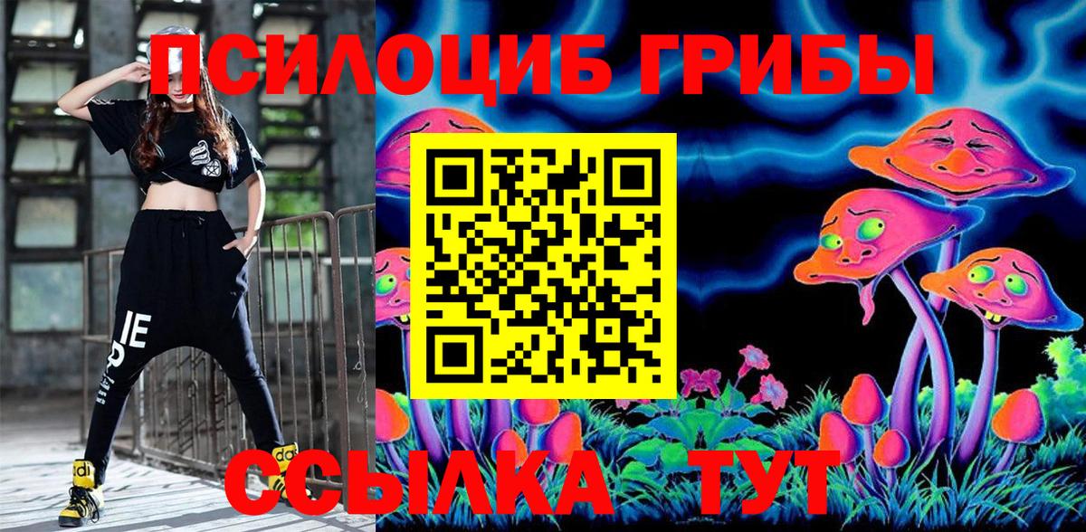 Галлюциногенные грибы Psilocybe Артёмовский